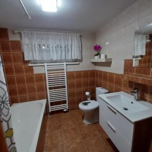 a bathroom with a toilet and a tub and a sink at Grzybki Trzy in Iława
