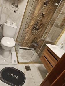 een badkamer met een douche, een toilet en een wastafel bij Apartman 602 in Kopaonik
