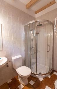 a bathroom with a shower and a toilet and a sink at La Pérgola Habitaciones Rústicas in Es Pujols