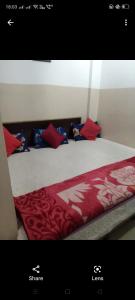 een bed met rode en blauwe kussens erop bij Arora guest house in Amritsar