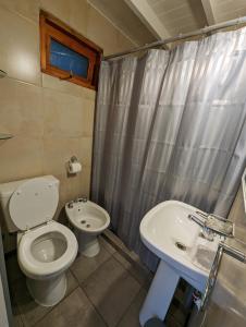La salle de bains est pourvue de toilettes et d'un lavabo. dans l'établissement EL FURANCHO, à San Martín de los Andes