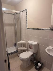 a bathroom with a toilet and a shower and a sink at City centre apartment in Sunderland