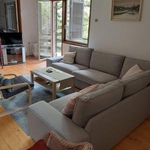 Vila Mira Zlatar في نوفا فاروس: غرفة معيشة مع أريكة وطاولة