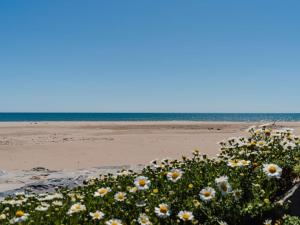 um campo de flores numa praia com o oceano em Villa Narbonne-Narbonne Plage-Narbonne Plage, 3 pièces, 5 personnes - FR-1-409-102 em Narbonne Plage