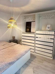a bedroom with a bed and a large closet at Stadtbude 50 in Emden