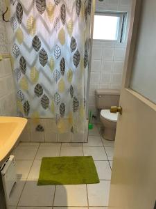 uma casa de banho com uma cortina de chuveiro e um WC em Posada De Los Gatos em Puerto Natales
