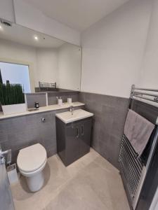 a bathroom with a toilet and a sink at Stunning 1 Bed Apt Minutes From Bham City Centre! in Birmingham