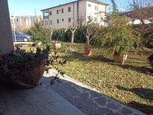 a yard with potted plants on the side of a house at open in Potenza