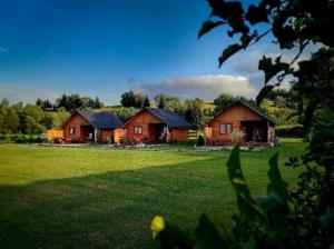 two large wooden houses in a field with a grass yard at Zielona Dolina Hoczew in Hoczew