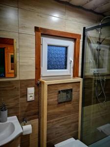 a bathroom with a shower and a sink and a window at Zielona Dolina Hoczew in Hoczew