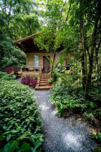 una pequeña casa en medio de un bosque en Pousada Ronco do Bugio, en Piedade