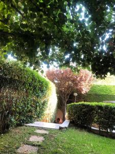 Jardín al aire libre en Villa Ariadni