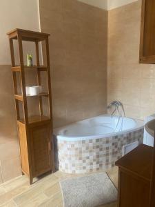 Koupelna v ubytování City Apartment