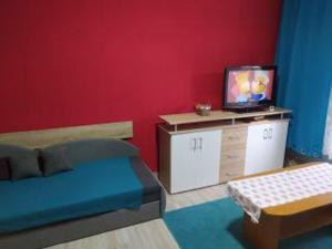 um quarto com uma cama e uma televisão num armário em Apartmán u Petrů 1 em Jáchymov
