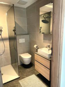 a bathroom with a shower and a toilet and a sink at Appartement Hirner in Fügenberg