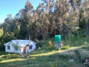 una pequeña casa blanca en medio de un campo en Donde La Euli. en Pitrufquén