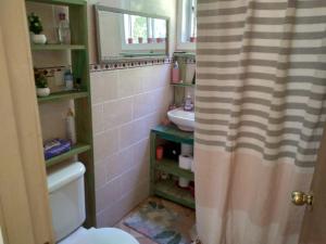 a bathroom with a toilet and a sink with a shower curtain at Donde La Euli. in Pitrufquén