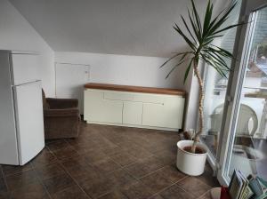 a living room with a palm tree and a chair at Ferienwohnung Gartenblick in Ensingen