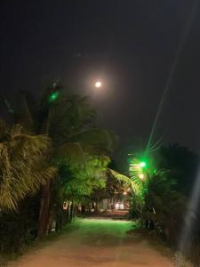 une rue avec des palmiers la nuit et une lumière verte dans l'établissement Lindo Village no melhor da Linha Verde/ Itacimirim, à Camassari