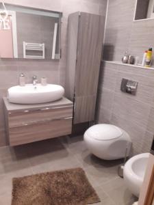 ein Bad mit einem Waschbecken und einem WC in der Unterkunft Vila Aliss in Mamaia Nord – Năvodari