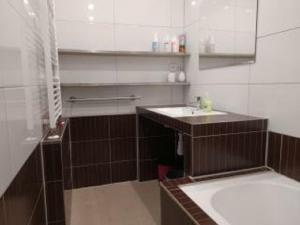 a bathroom with a sink and a mirror at Apartmán u Petrů 1 in Jáchymov