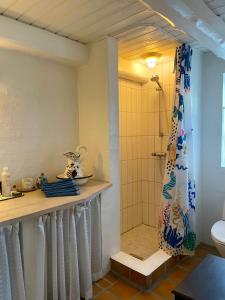 uma casa de banho com chuveiro e cortina de chuveiro em pallisgaard B&B em Struer