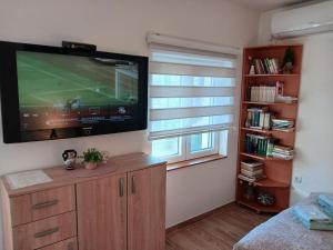 Televisyen dan/atau pusat hiburan di Deluxe studio & apartments Alexander
