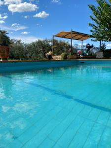 a large swimming pool with blue water at le relais fleuri in Alès
