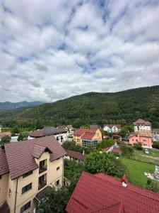 Ảnh trong thư viện ảnh của Vila Trandafirul si Liliacul ở Căciulata