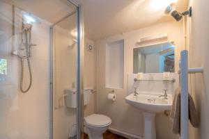 a bathroom with a toilet and a sink and a shower at Ty-Gwair-Byrdir in Dyffryn