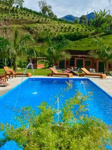 Kolam renang di atau dekat dengan Pousada Altitude 1200