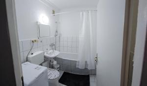 ein weißes Bad mit einem Waschbecken und einem WC in der Unterkunft Cozy apartments in Halle in Nietleben