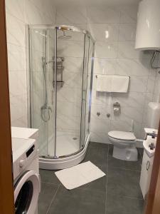 a bathroom with a shower and a toilet at Villa Jasmin in Bol