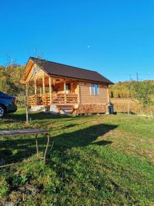 a log cabin with a car parked in front of it at Stefana's Tiny House Nature Retreat in Sărădiş