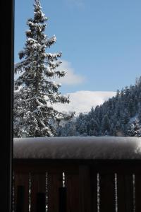 Obiekt Bärenhütte zimą
