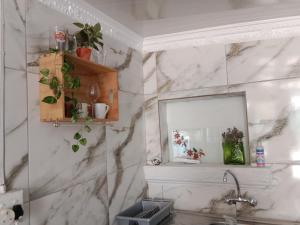 Cape Town的住宿－Cozy Private En Suite Studio，浴室墙上挂有镜子和植物
