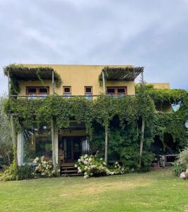budynek z roślinami po jego stronie w obiekcie Hale Lau w mieście José Ignacio
