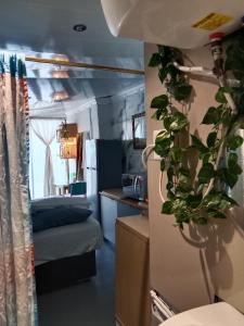 Cape Town的住宿－Cozy Private En Suite Studio，一间设有床铺的房间和一间带植物的厨房