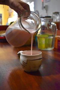 Φωτογραφία από το άλμπουμ του Hospedaje Los Cardones σε Cafayate