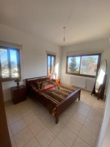 a bedroom with a bed in a room with windows at Villa Ariadni in Pissouri