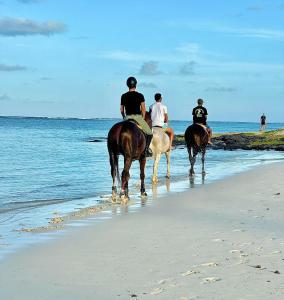 Tres personas montan caballos en la playa. en R Garden Studio 1 - Ensuite avec accès privé et indépendant, en Baie du Tombeau