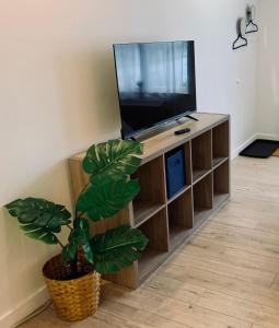 a living room with a television and a potted plant at Urban Nest, Studio, Ground Floor in Halifax