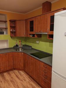 uma cozinha com armários de madeira e um frigorífico branco em Apartmán u Petrů 1 em Jáchymov