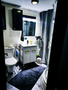a bathroom with a toilet and a sink and a shower at Aix-en-Provence : le boudoir du centre historique in Aix-en-Provence