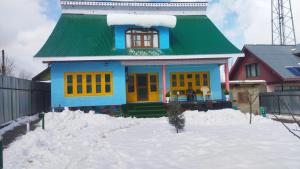 a small house with a green roof in the snow at Conifer view guest house in Tangmarg