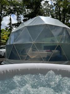 Neben einem Pool befindet sich ein Leguan-Zelt. in der Unterkunft Roble Coral Glamping in Sarapiquí