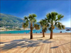 dos palmeras en una playa cerca del agua en Studio Perle de Menton, en Menton