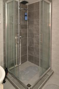 a shower with a glass door in a bathroom at Golden Star Viktor in Zaječar +5 photos
