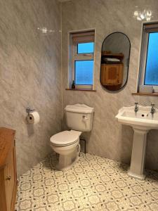 uma casa de banho com um WC, um lavatório e um espelho. em Favour Royal Cottage - dog friendly forest escape em Derrygorry