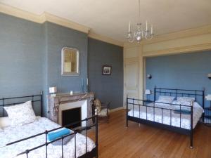 a bedroom with two beds and a fireplace at Chateau Magondeau in Saillans